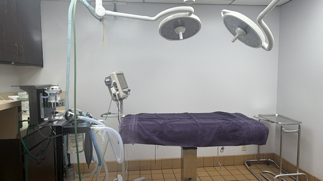 Pet Surgery and Internal Medicine
